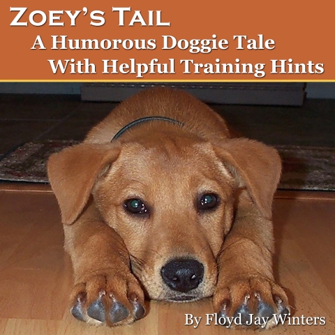 Audiobook cover for Learn Sailing Fun And Easy